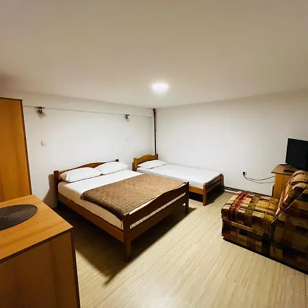 Apartment Boni Soko Banja