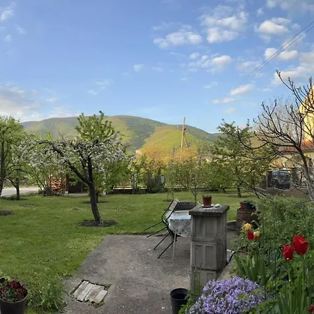 Boni Apartment *