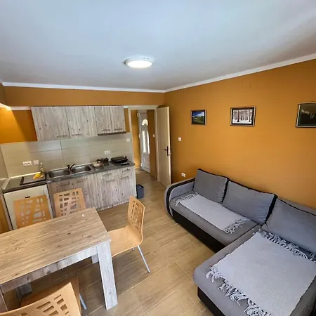 Apartment Boni Soko Banja