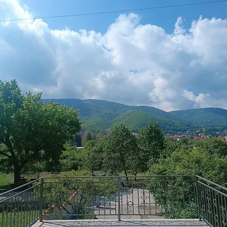 Apartment Boni *